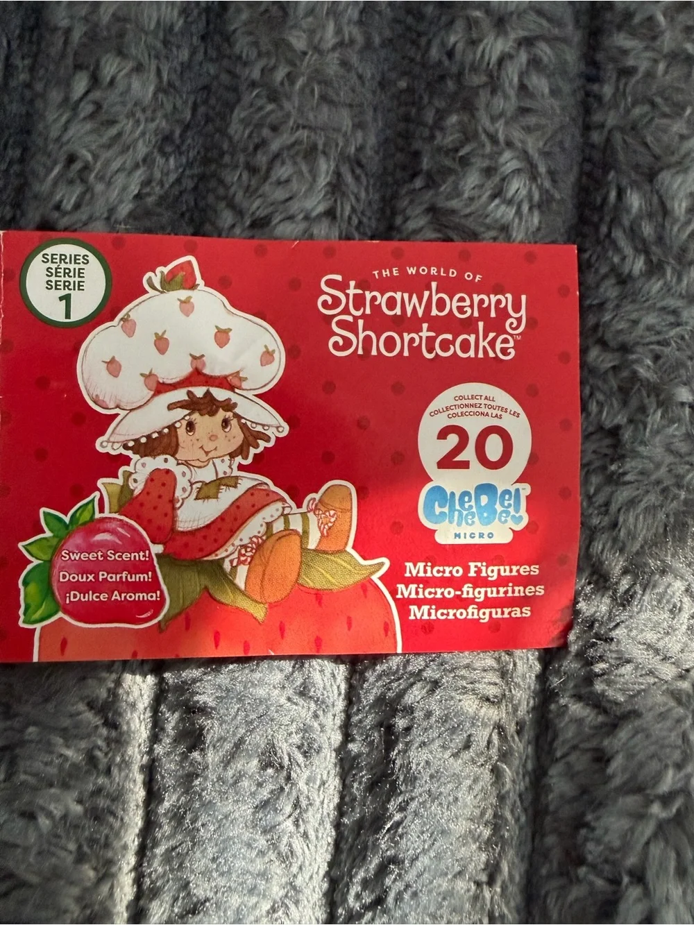 The World of Strawberry Shortcake